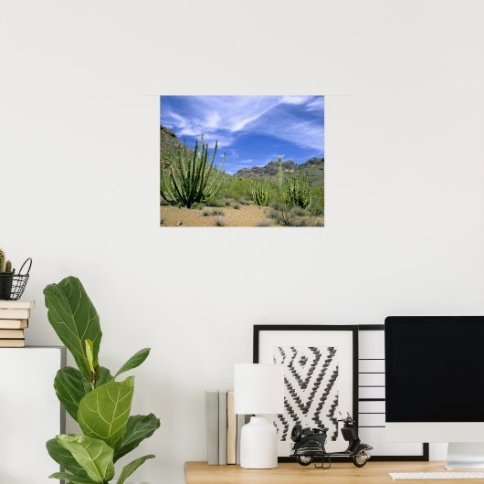 Wüstenkaktus im Orgelpfeifenmonument, Poster (Heimbüro)