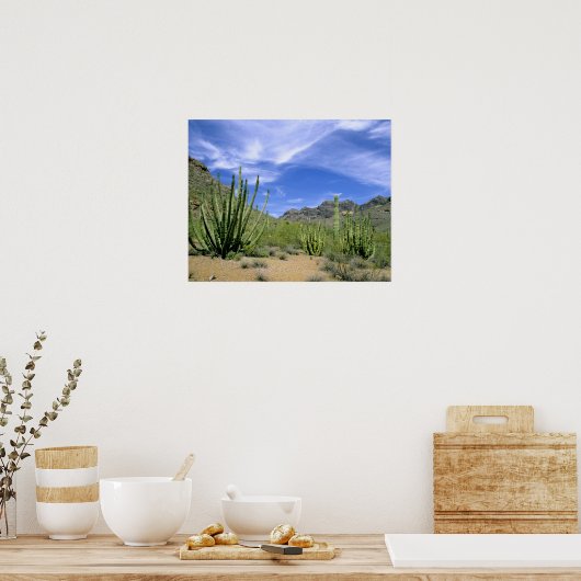 Wüstenkaktus im Orgelpfeifenmonument, Poster (Küche)