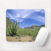 Wüstenkaktus im Orgelpipe National Monument, Mousepad (Mit Mouse)