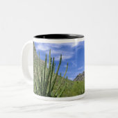 Wüstenkaktus im Orgelpipe National Monument, Zweifarbige Tasse (Vorderseite Links)