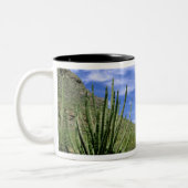 Wüstenkaktus im Orgelpipe National Monument, Zweifarbige Tasse (Links)