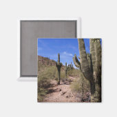 Wüstenkaktus in Arizona Magnet (Vorderseite/Rückseite)