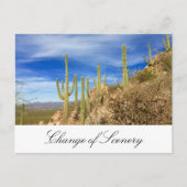 Wüstenkaktus neue Adressenverschiebung Ankündigungspostkarte (Vorderseite)