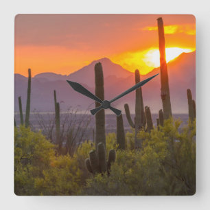Wüstenkaktus Sonnenuntergang, Arizona Quadratische Wanduhr