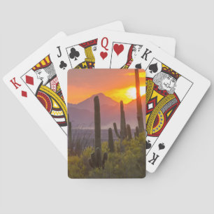 Wüstenkaktus Sonnenuntergang, Arizona Spielkarten
