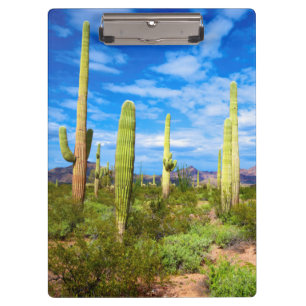 Wüstenkaktuslandschaft, Arizona Klemmbrett