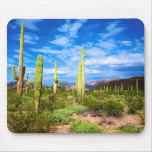 Wüstenkaktuslandschaft, Arizona Mousepad