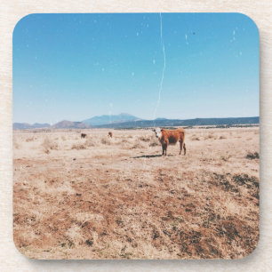 Wüstenkuh Getränkeuntersetzer