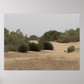 Wüstenland 1 poster (Vorne)