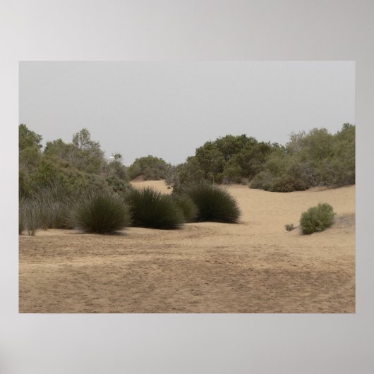 Wüstenland 1 poster (Vorne)