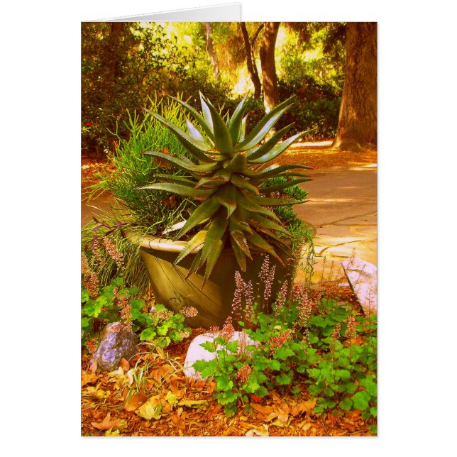 Wüstenlandschaft (Vorne)