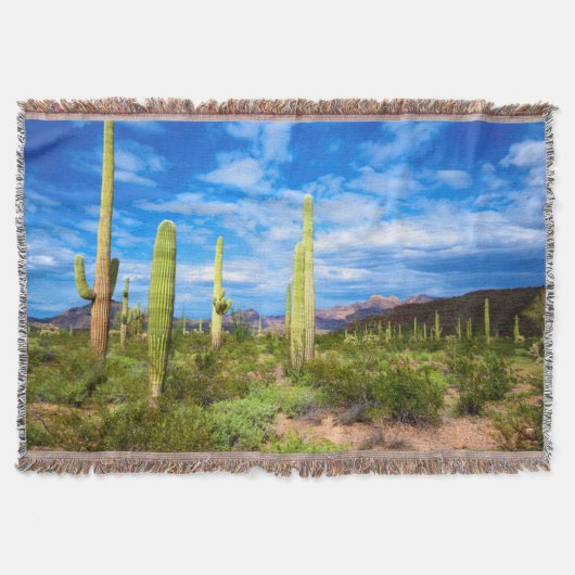 Wüstenlandschaft, Arizona Decke (Vorderseite)