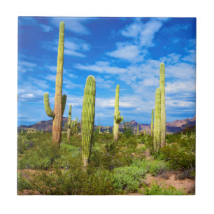 Wüstenlandschaft, Arizona Fliese