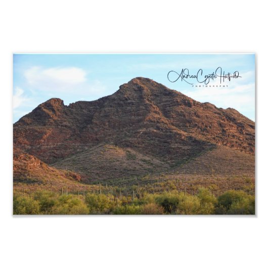Wüstenlandschaft Arizona Fotodruck (Vorne)
