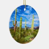 Wüstenlandschaft, Arizona Keramikornament (Rechts)