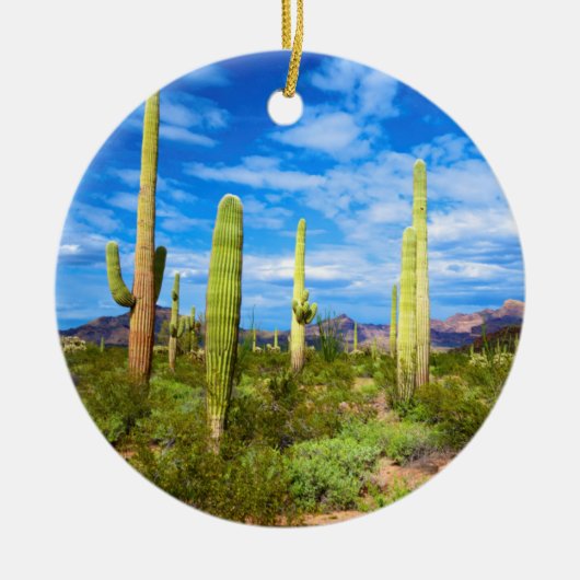 Wüstenlandschaft, Arizona Keramikornament (Vorne)