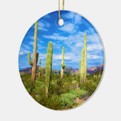 Wüstenlandschaft, Arizona Keramikornament (Links)