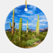 Wüstenlandschaft, Arizona Keramikornament (Hinten)