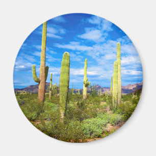 Wüstenlandschaft, Arizona Magnet