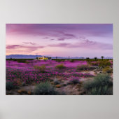 Wüstenlandschaft in Bloom AI Art | Fotorealistisch Poster (Vorne)