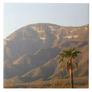 Wüstenlandschaft in der Nähe von Monterey, Mexiko. Fliese