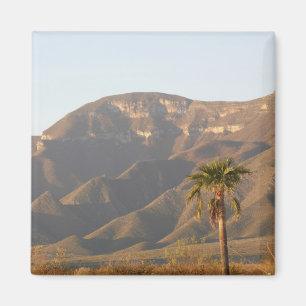 Wüstenlandschaft in der Nähe von Monterey, Mexiko. Magnet