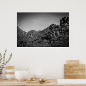 Wüstenlandschaft mit Graffiti Poster (Küche)