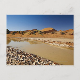Wüstenlandschaft Namib in Sossusvlei gefüllt Postkarte