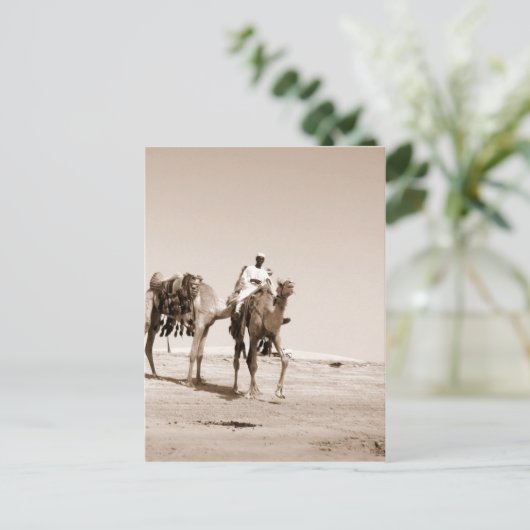 Wüstenlandschaft Postkarte (Stehend Vorderseite)