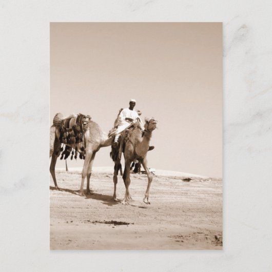 Wüstenlandschaft Postkarte (Vorderseite)