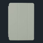 Wüstenlandschaft, solide Farbe iPad Mini Hülle<br><div class="desc">Wüstenlandschaft,  solide Farbe</div>
