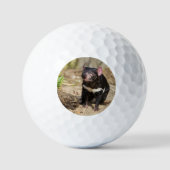 Wüstenlicht – Tasmanischer Teufel Golfball (Vorderseite)