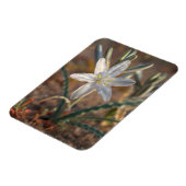 Wüstenlilie Wildblumen Magnet (Linke Seite)