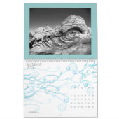 Wüstenmonochrome (Kalender) Kalender (Jan 2026)