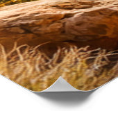 Wüstenpfad zwischen felsigen Canyons Poster (Ecke)