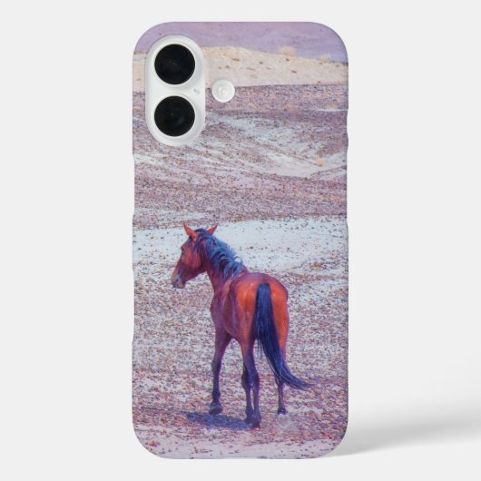 Wüstenpferd P8640 Case-Mate iPhone Hülle (Rückseite)