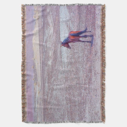 Wüstenpferd P8640 Decke (Vorderseite Vertikal)