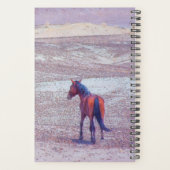 Wüstenpferd P8640 Planer (Rückseite)