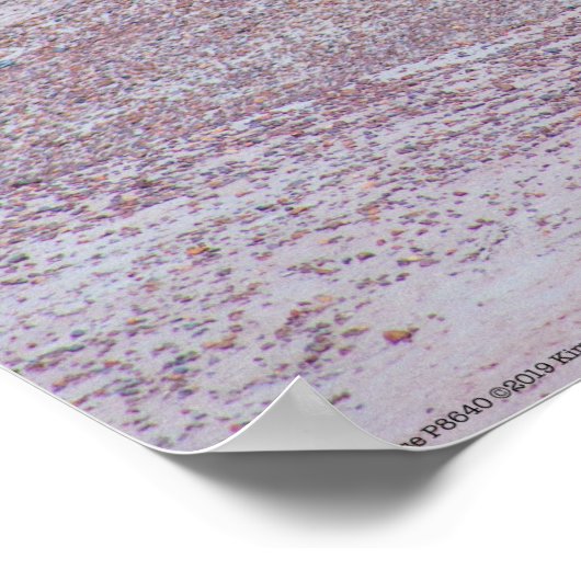 Wüstenpferd P8640 Poster (Ecke)