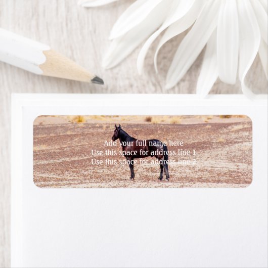 Wüstenpferd P8664 (Insitu)