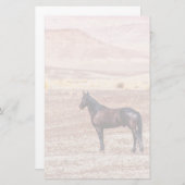 Wüstenpferd P8664 Briefpapier (Vorne/Hinten)