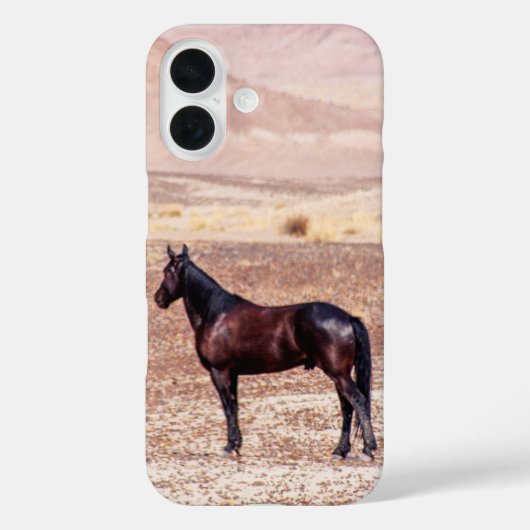 Wüstenpferd P8664 Case-Mate iPhone Hülle (Rückseite)