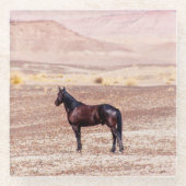 Wüstenpferd P8664 Glasuntersetzer (Vorderseite)