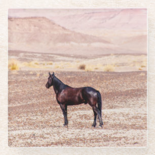 Wüstenpferd P8664 Glasuntersetzer