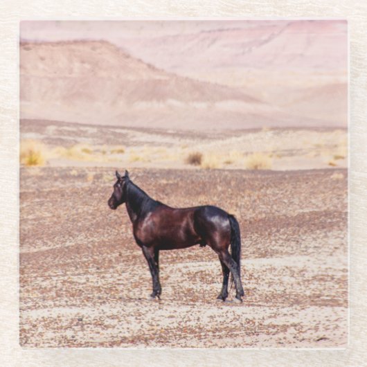 Wüstenpferd P8664 Glasuntersetzer (Vorderseite)