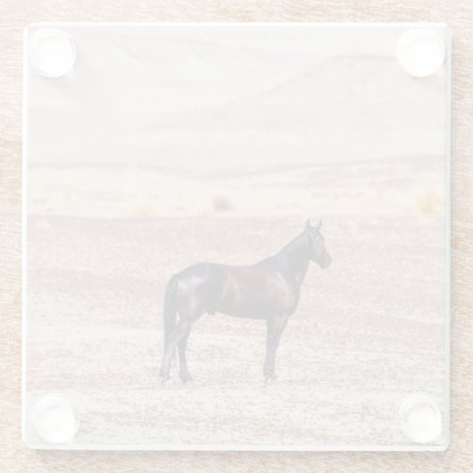 Wüstenpferd P8664 Glasuntersetzer (Rückseite)