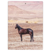 Wüstenpferd P8664 Klemmbrett (Rückseite)