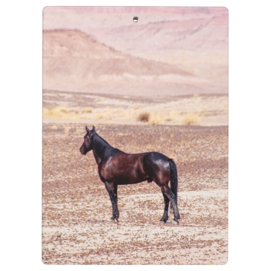 Wüstenpferd P8664 Klemmbrett (Rückseite)