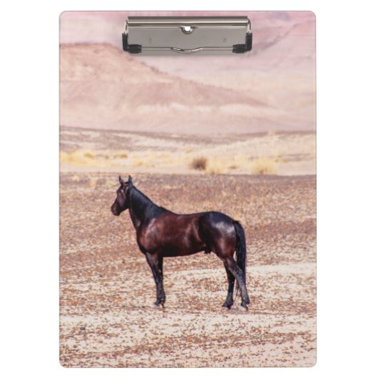 Wüstenpferd P8664 Klemmbrett (Vorderseite)