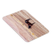 Wüstenpferd P8664 Magnet (Rechte Seite)